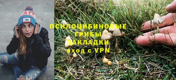 Альфа ПВП Горнозаводск