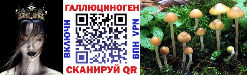 Псилоцибиновые грибы мухоморы  продажа наркотиков  Копейск 